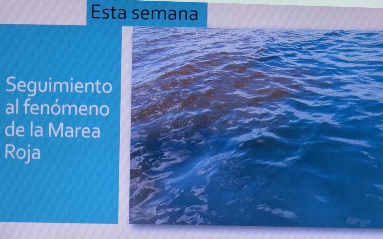 MAREA2